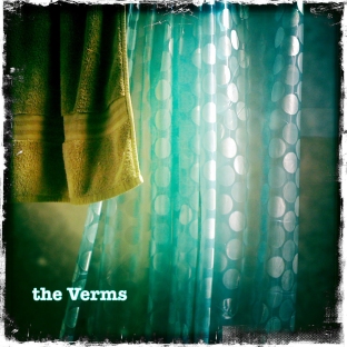 The Verms